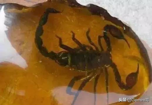 逛文玩市场哪些是绝对不能碰的,文玩市场逛地摊捡漏