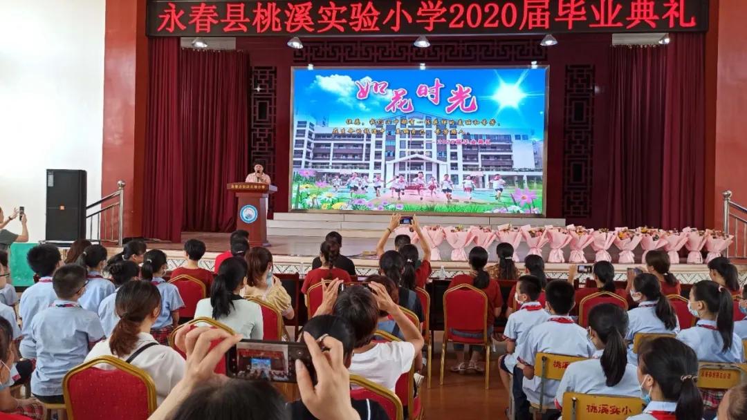 永春县桃溪实验小学2022年招生,永春县桃溪实验小学怎么样