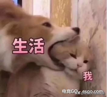 为什么lol玩家看不起王者玩家,为什么lol玩家不喜欢玩adc