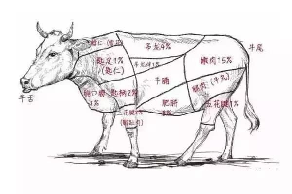 潮汕牛肉丸哪个最好吃,全网最真实的潮汕牛肉丸