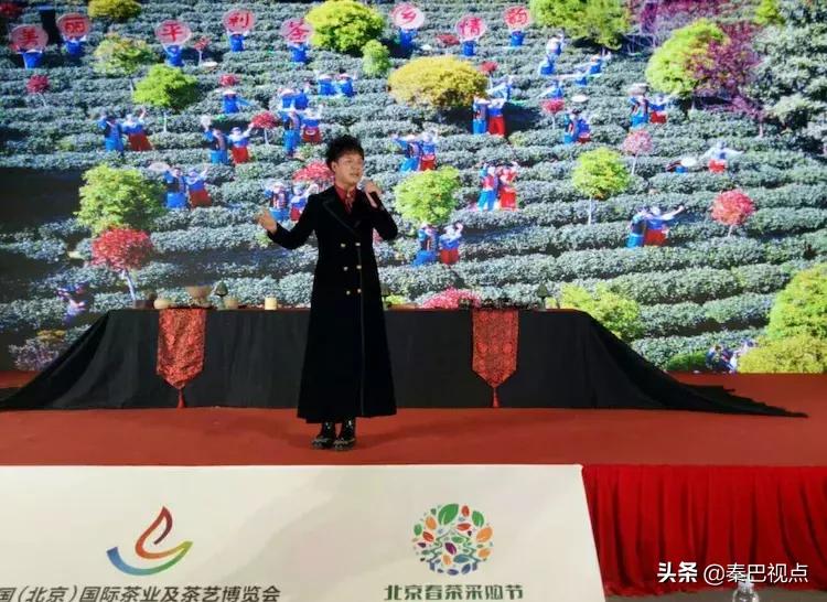 秦汉古茶价格,秦汉古茶图片