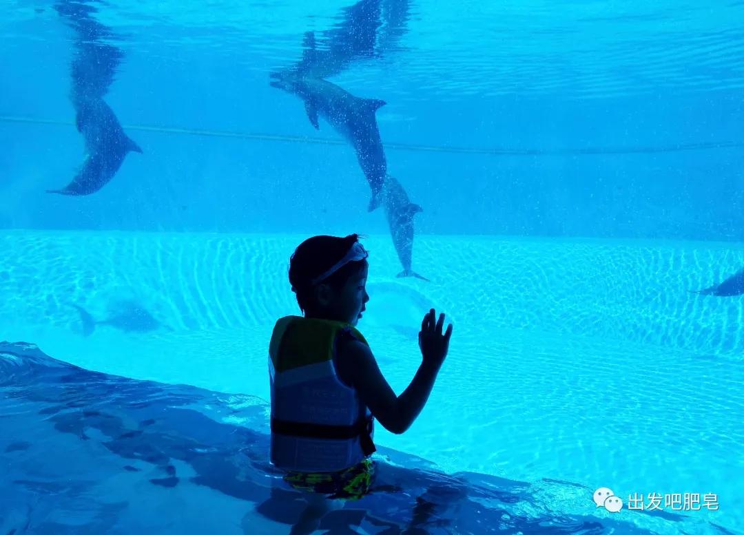 一天珠海长隆最全游玩攻略,最新的珠海长隆游玩攻略