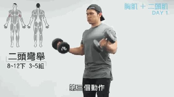 哑铃和杠铃健身入门计划男,新手居家训练计划一周表哑铃