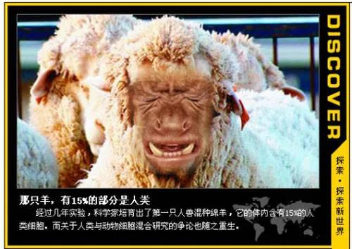 煮熟的青蛙,煮熟的青蛙视频