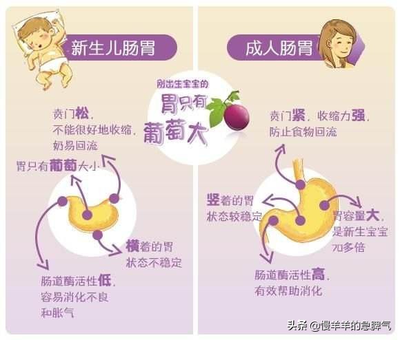 新生儿正常生理现象,新生儿正常生理现象哪四个