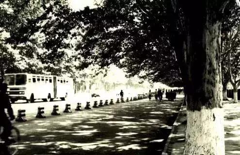 父母那一辈跟现在对比,爸妈的年代是什么样子的