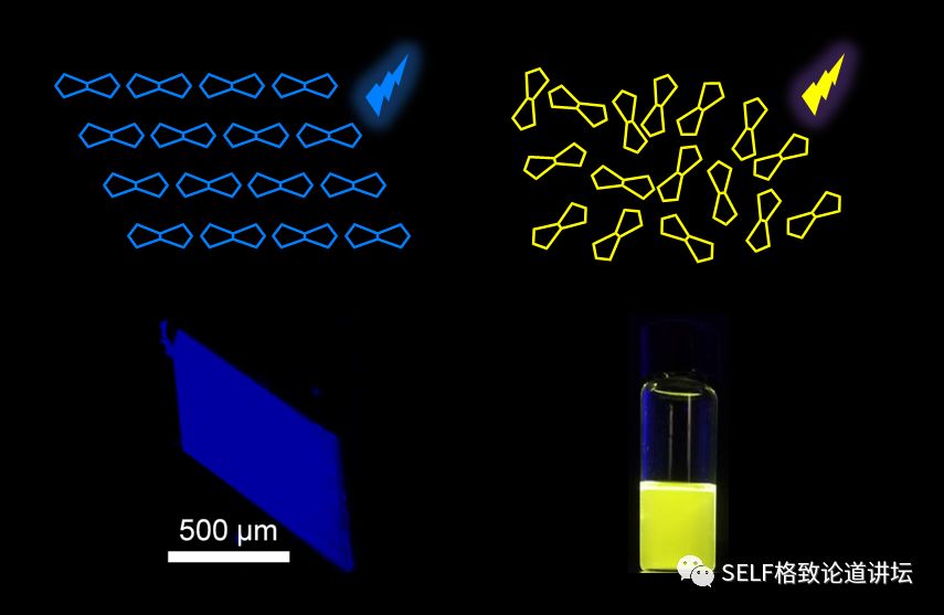 诺贝尔奖中的有机化学,为什么诺贝尔化学奖很少