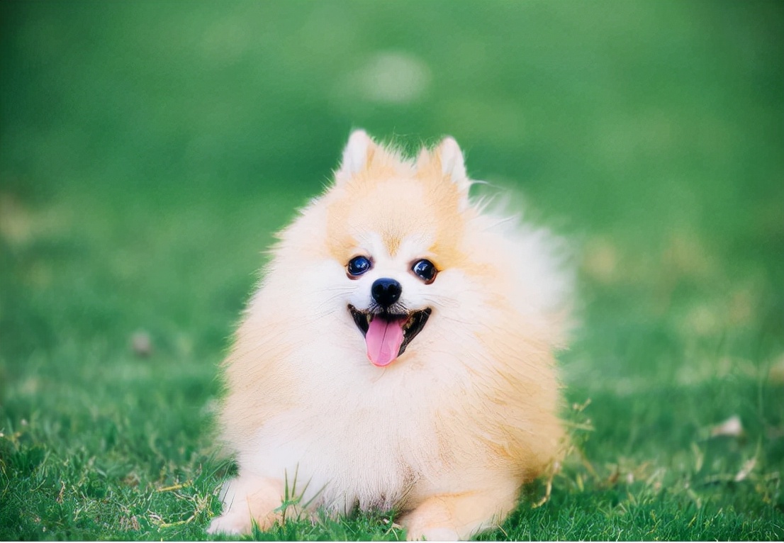 荨麻疹缓解瘙痒的方法是什么,荨麻疹瘙痒难忍可以用什么缓解