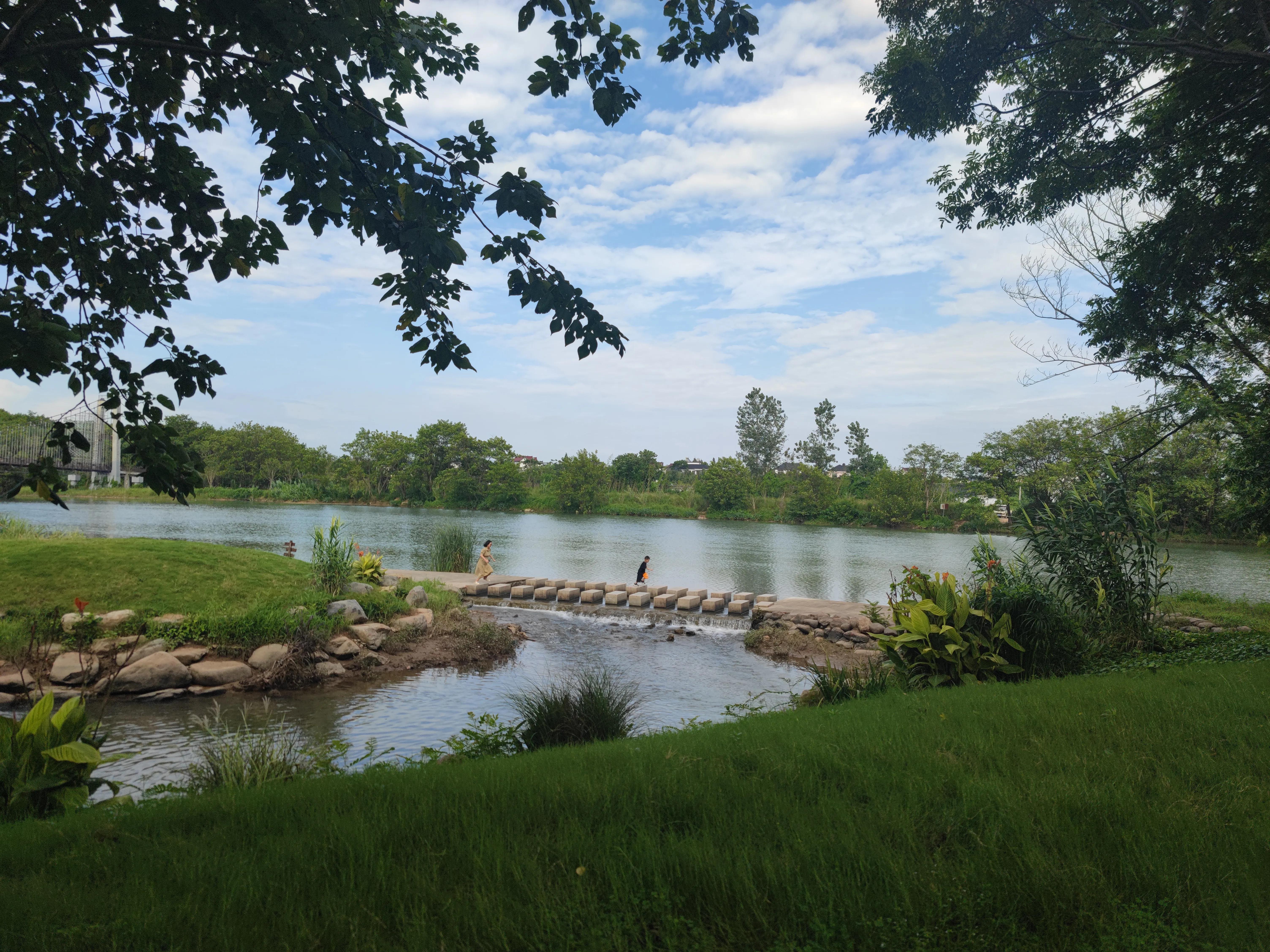 莲花国际未来社区湿地公园潜水,莲花国际未来社区湿地公园优惠