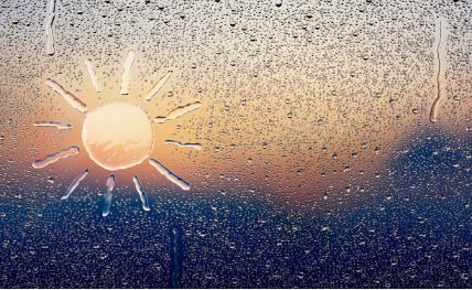 有关国际禁毒日的语言,今天是世界禁毒日