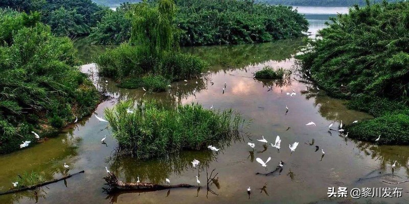 常熟沙家浜景区古人雕塑,常熟地图全图大图沙家浜