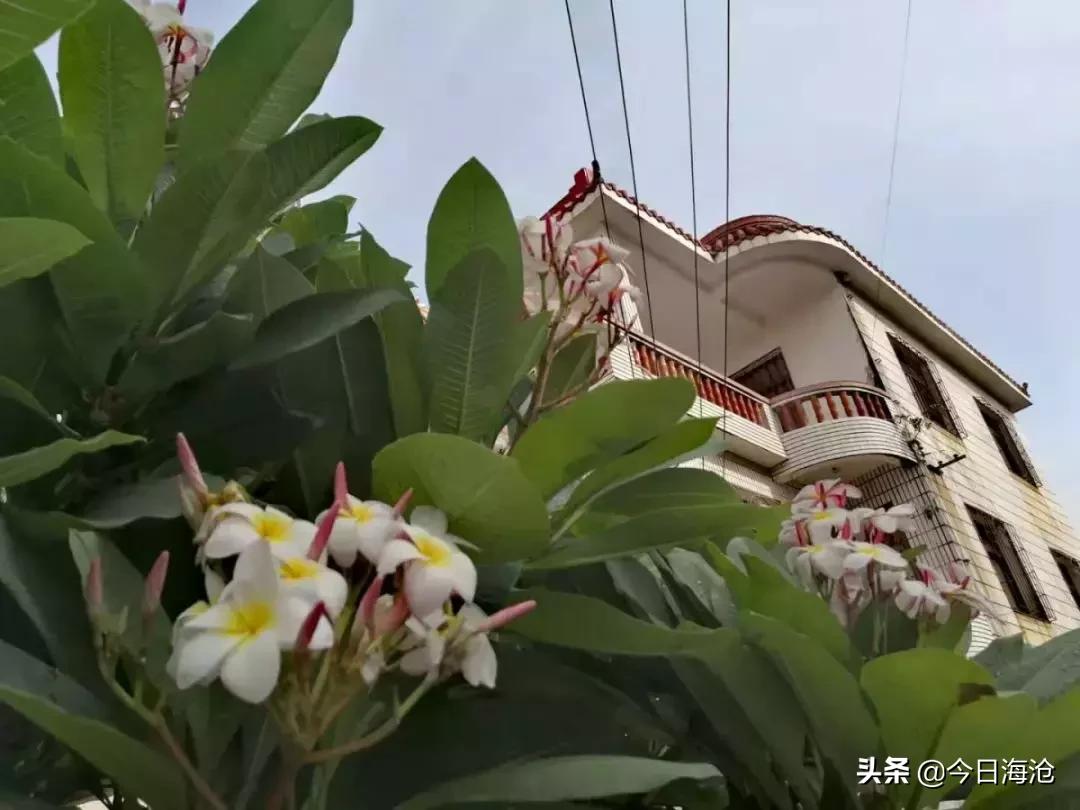 厦门将新增一条滨海浪漫线,厦门一条很美的路线