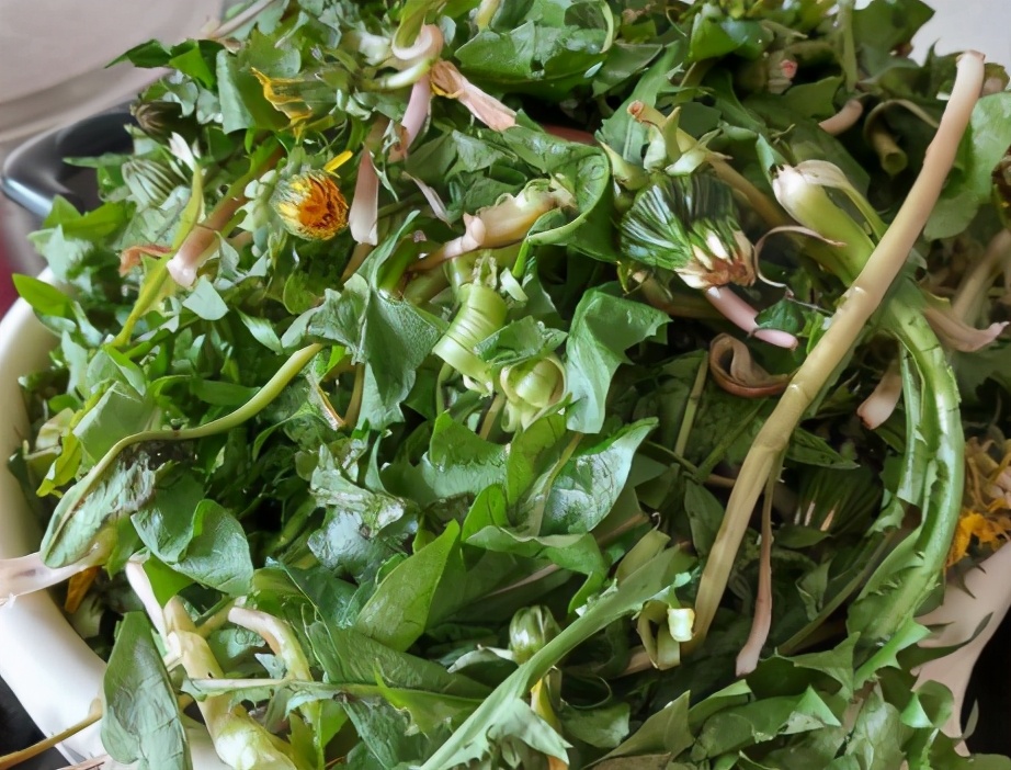 春天多吃这菜水分足营养高补,开春吃什么菜营养早餐最好