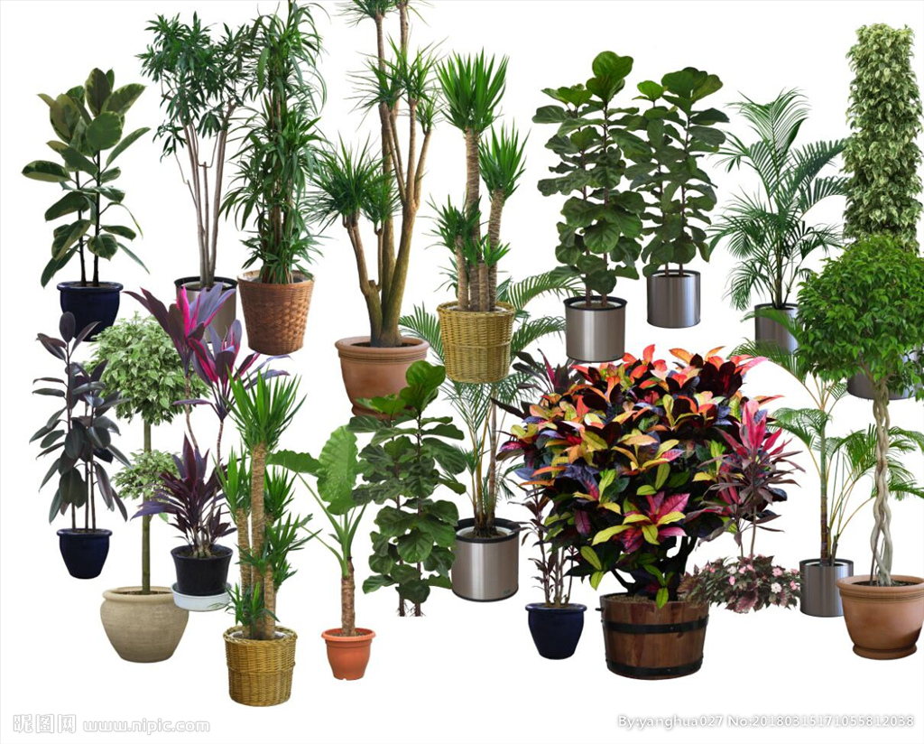 新车快速有效去除甲醛和异味,新床怎么能快速去除异味和甲醛味