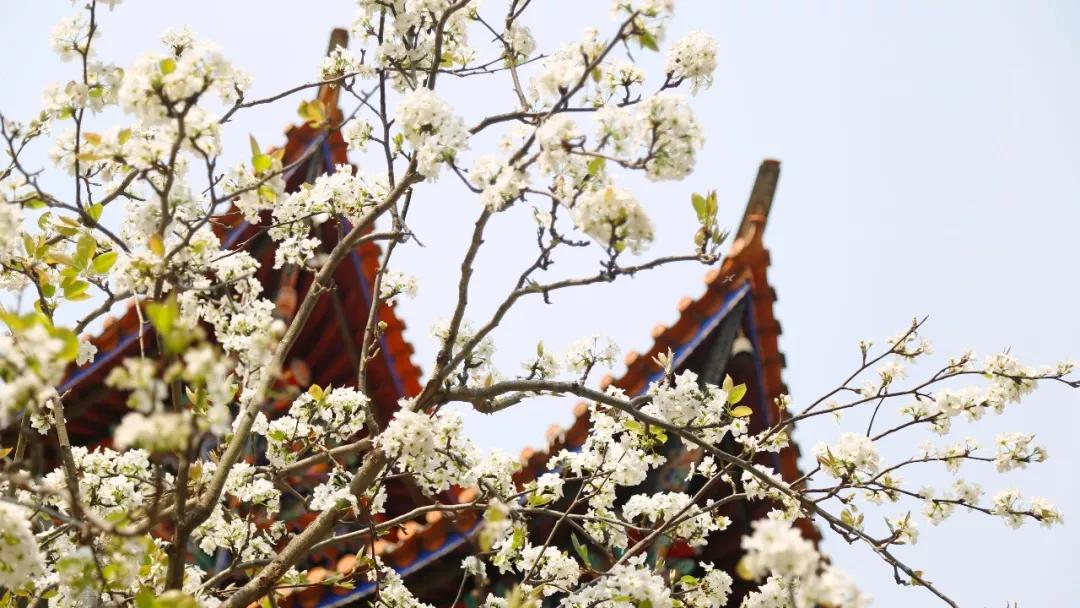 这是一个生机勃勃的地方关于它的故事才刚刚开始