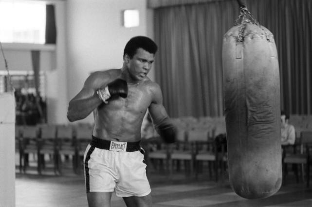 世界十大中国体坛巨星,8小时前外媒评世界体坛100大巨星