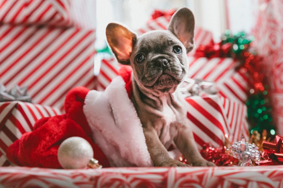 圣诞礼物应该哪一天送,圣诞礼物24送还是25送
