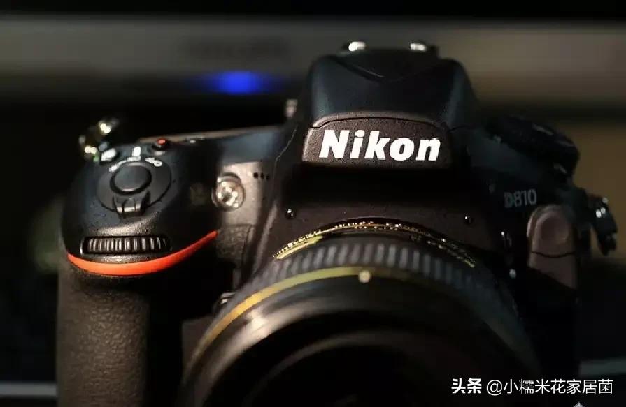 佳能和尼康单反相机锐度设置技巧,佳能和尼康哪个品牌的单反相机好