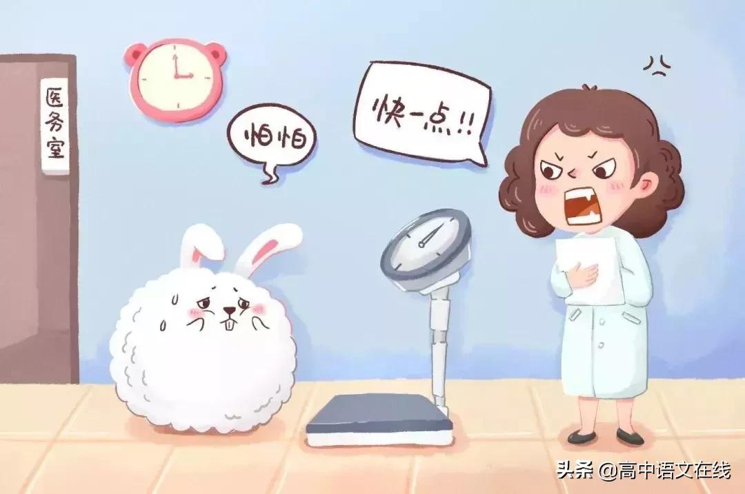 小学必考看图写话最全万能公式,看图写话作文评语模板