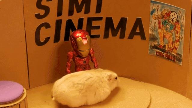 身价300万的仓鼠外网走红！住3层电梯豪宅，丰富娱乐，人不如鼠啊