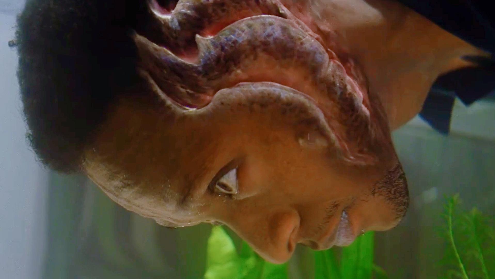 x战警变异人中国版,盘点x战警变种人