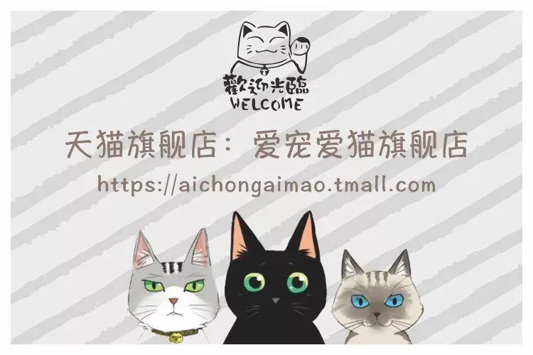 cips2019中国宠物展,cips宠物展直播