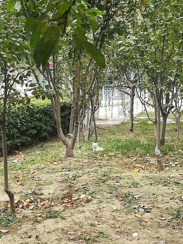 天津马场道玩的地方,天津遛娃好去处