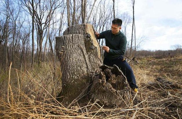 一个新闻追踪了20年，这是媒体对公共利益最好的守护丨*今条头日**月度优质长文