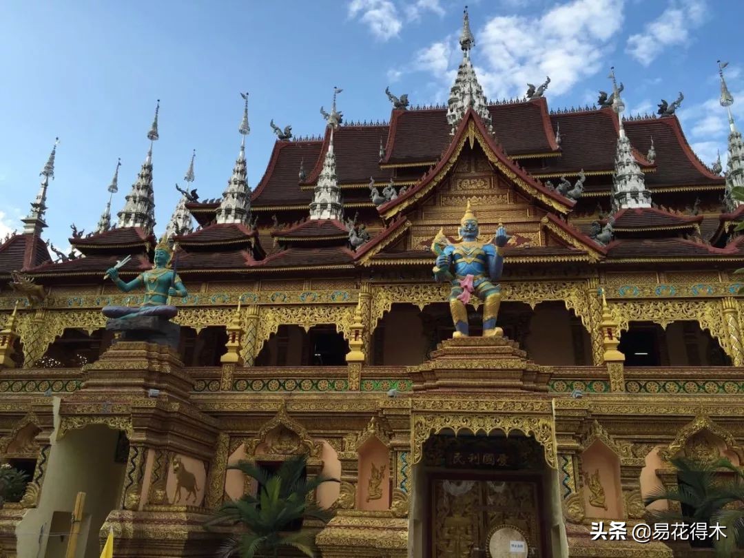 佛教的五树六花指的是什么,佛教五树六花是哪些植物