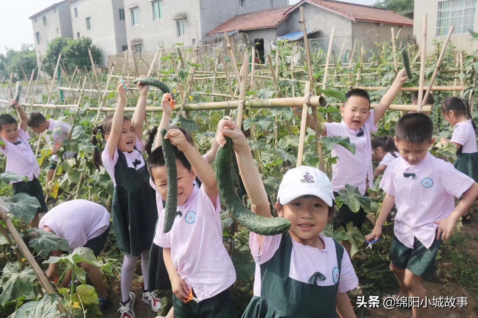 梓潼桂香路金太阳幼儿园,梓潼金太阳幼儿园六一现场直播