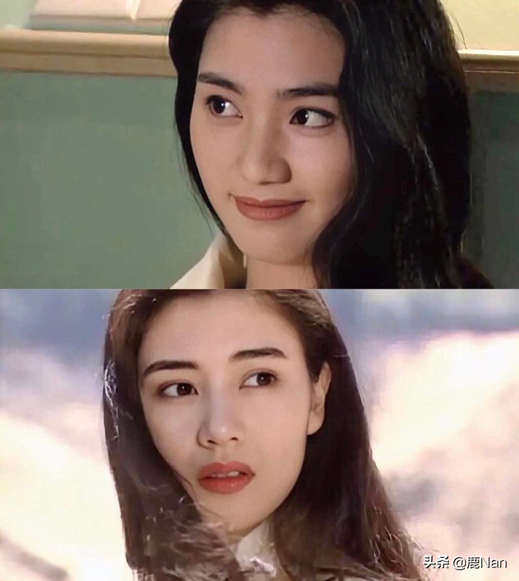 洪欣的个人简介,洪欣以前的情感史