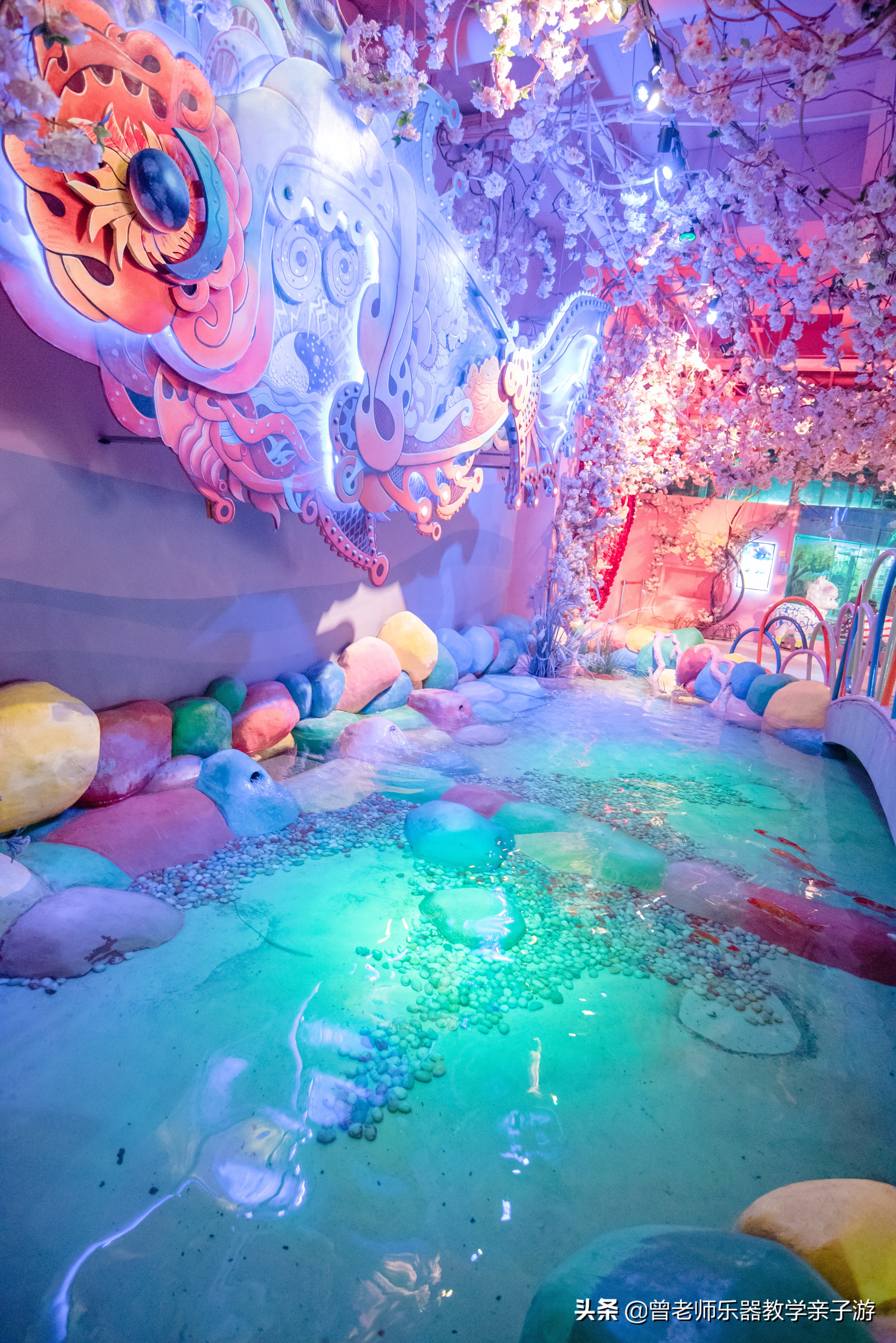 西安太奥海洋馆,西安极地海洋世界海豚表演