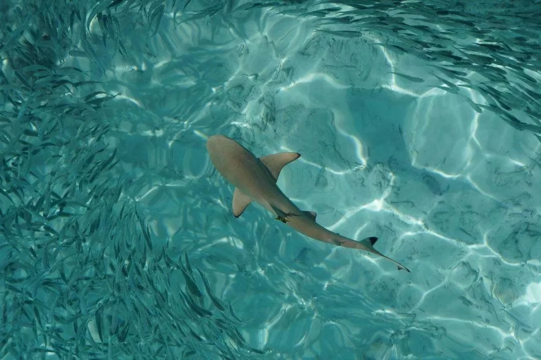 成都宝妈：孩子征服世界的第一站