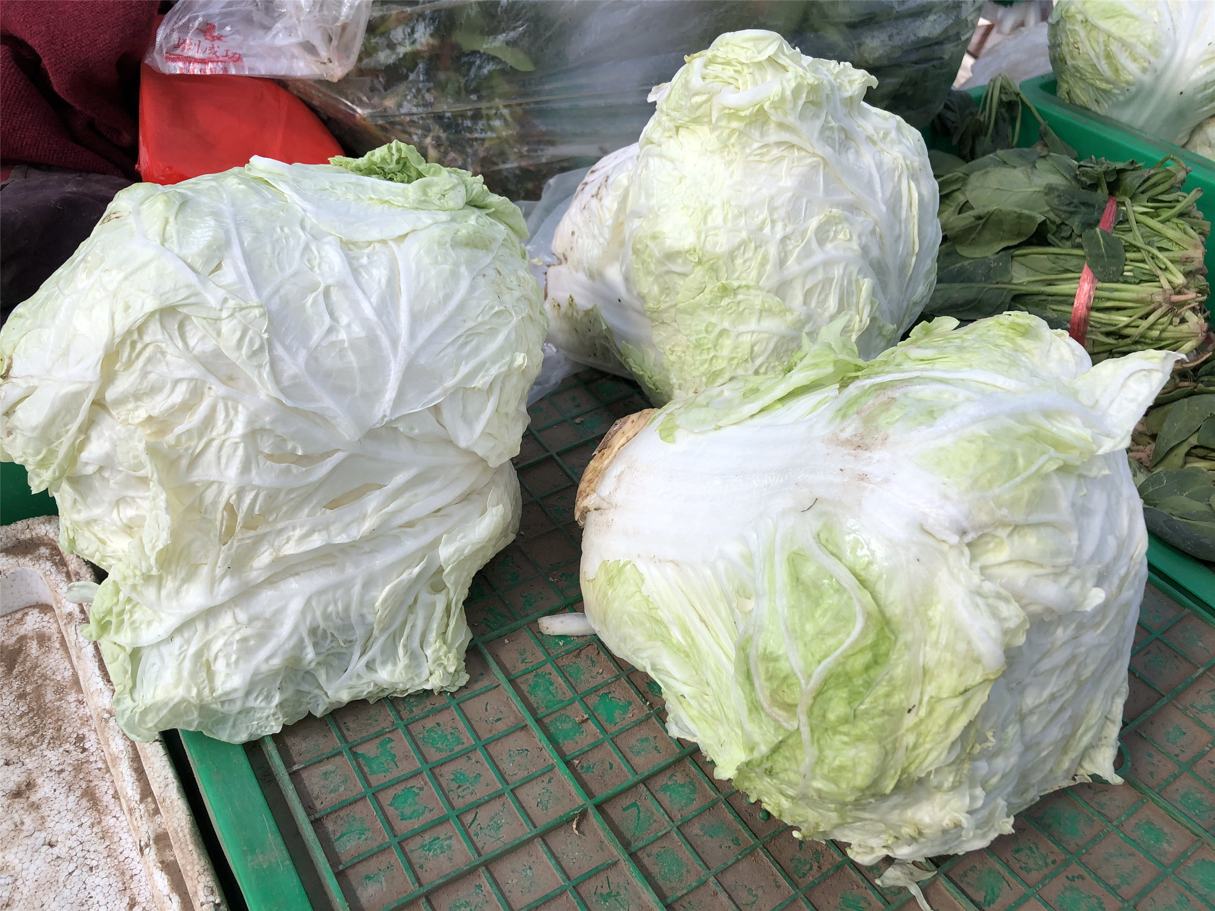 不能出门准备哪些生活物资,不能出门家里储备什么食物