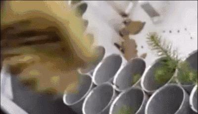 认真是一种可怕的力量,德国严谨的态度