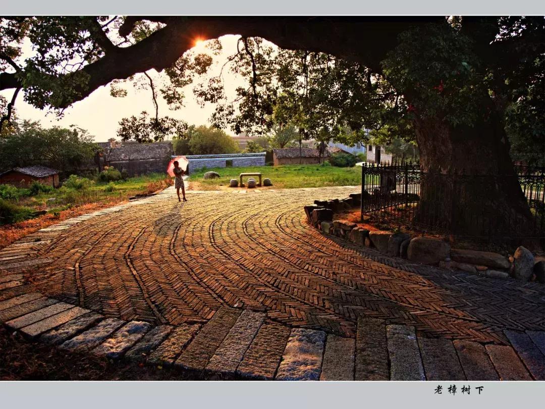 别再说安义没什么玩的了，有这一篇就够了！