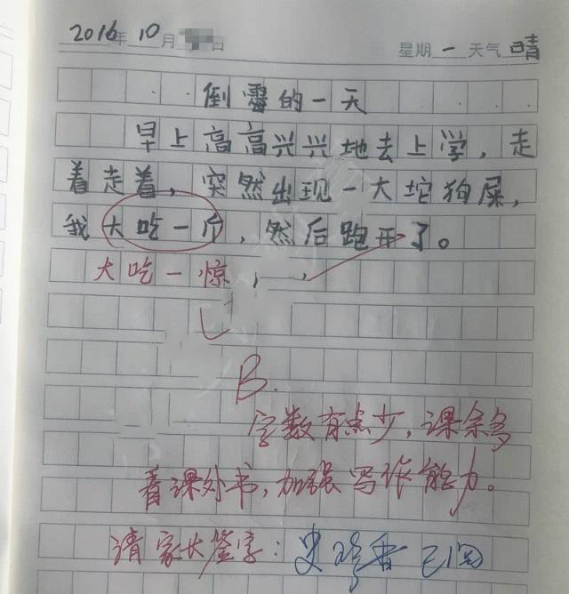 小学生神作文走红,小学生心酸作文走红