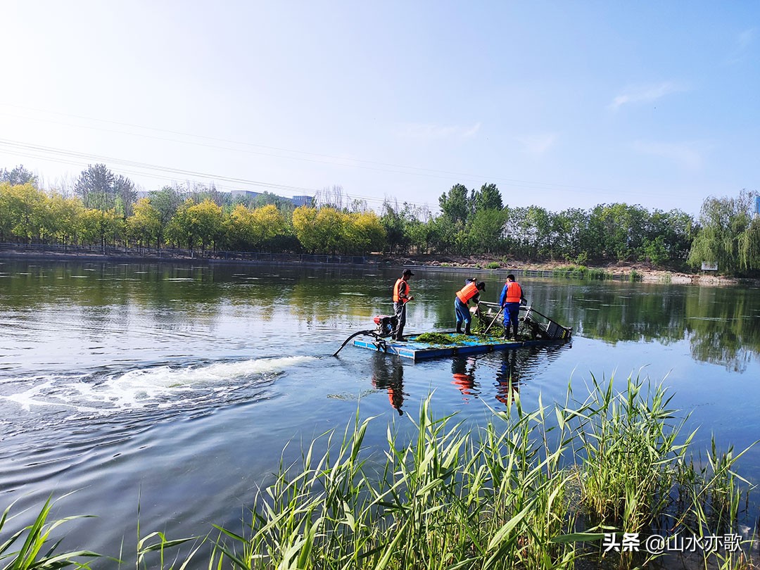 石家庄高新区地上公园,石家庄高新区草原公园
