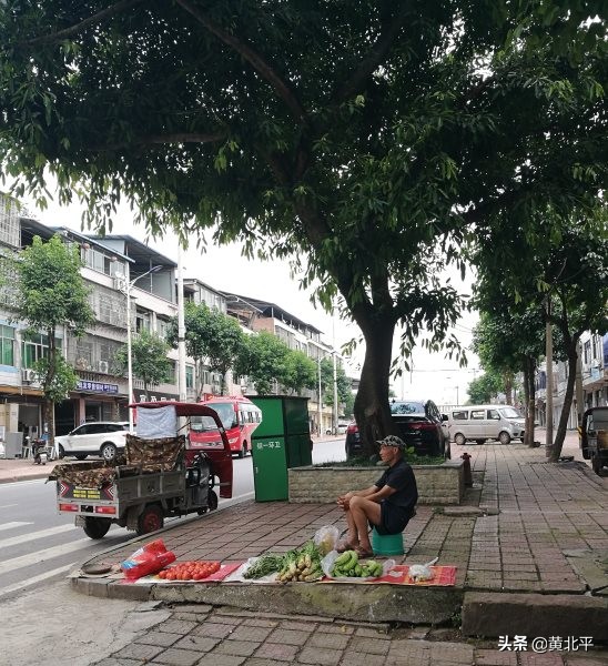 重庆市铜梁区侣俸镇二手房,重庆市铜梁区侣俸镇新复村