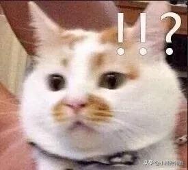 太脏了！原来这些韩语脏话不只是字面意思那么简单