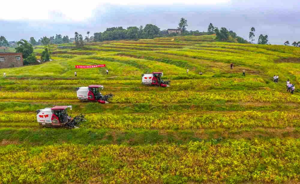 重庆市推进农业农村现代化解读,农业农村现代化示范区重庆