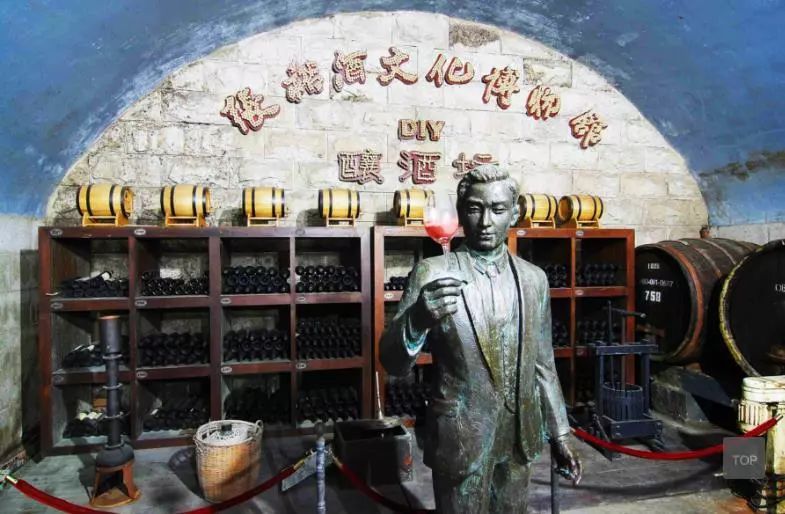 波尔多葡萄酒博物馆特点,了解葡萄酒用什么软件