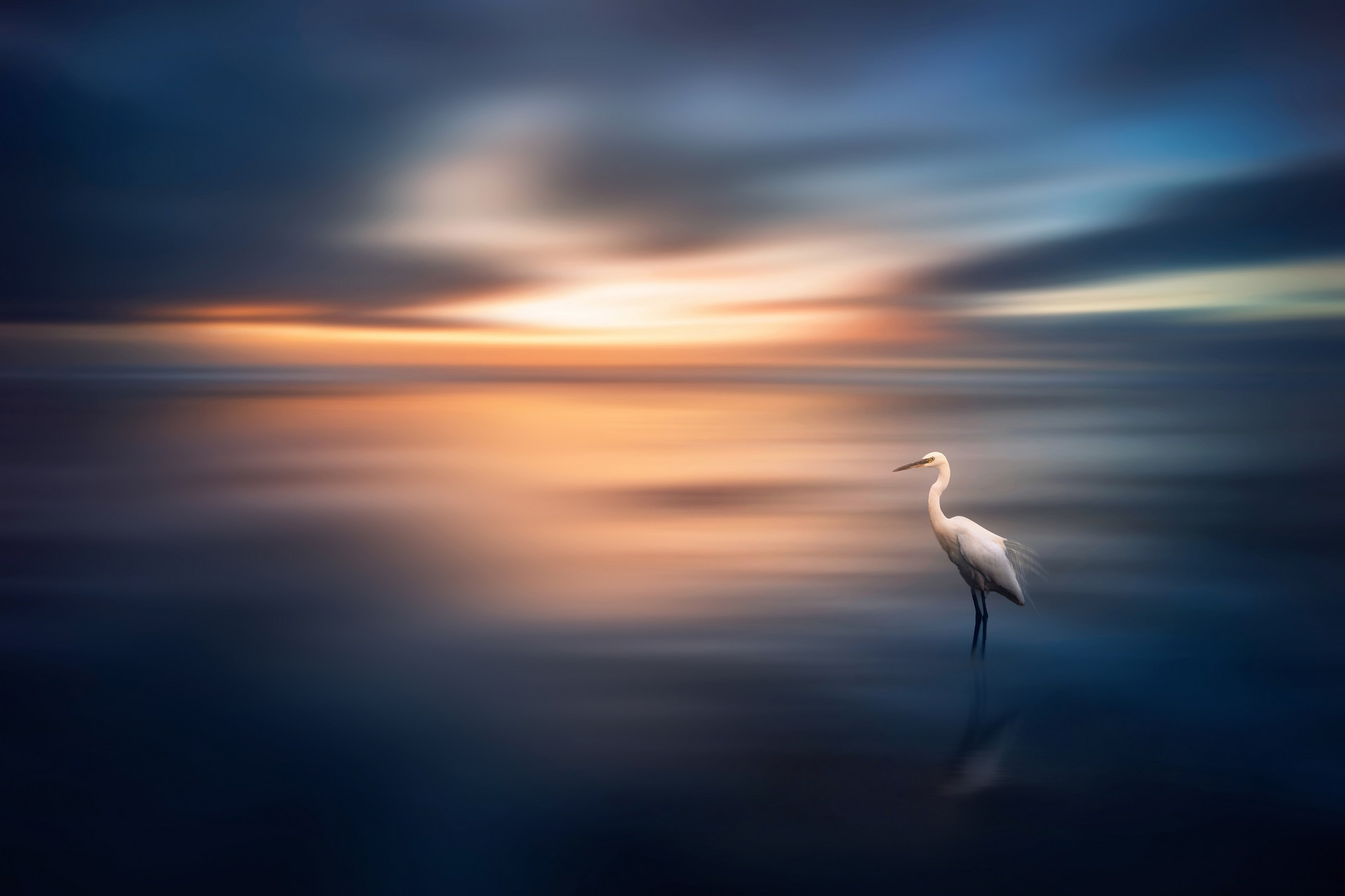 岁月静好知足常乐的文案,岁月静好知足常乐的句子