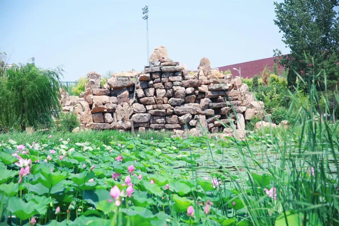 辽宁中医药大学杏林学院有独卫吗,辽宁中医药大学杏林学院属于3+2吗