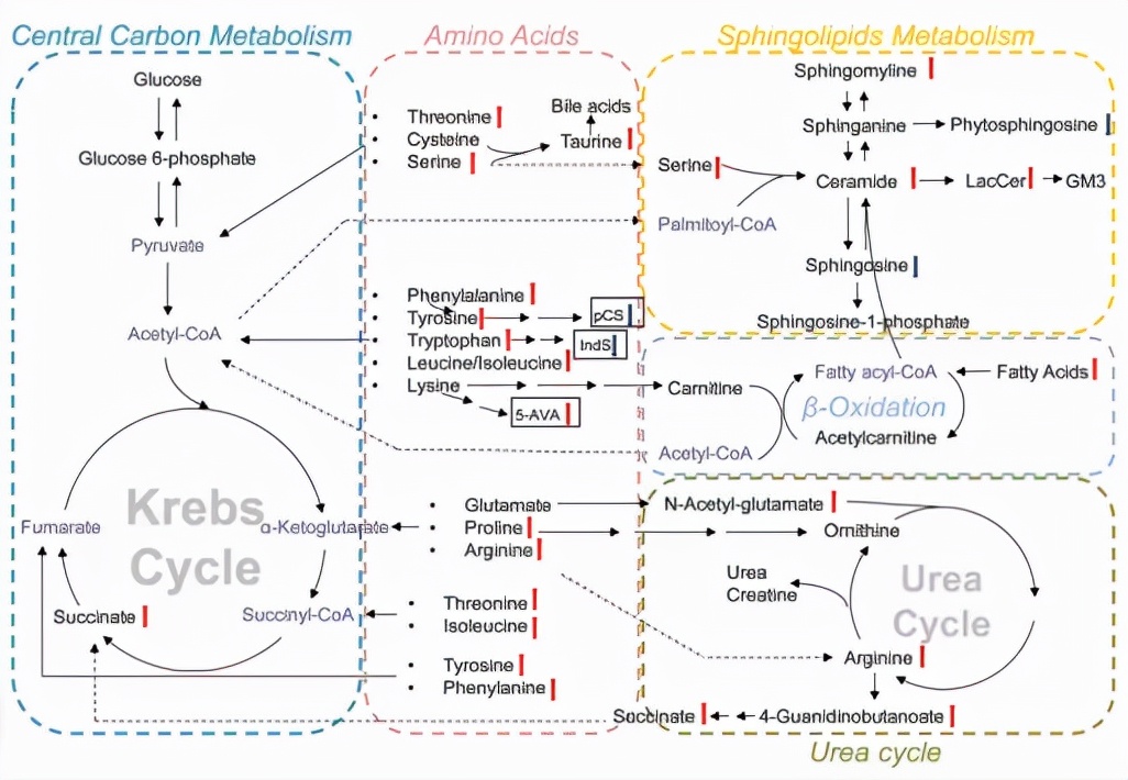 cap病原学特点,cap病原学