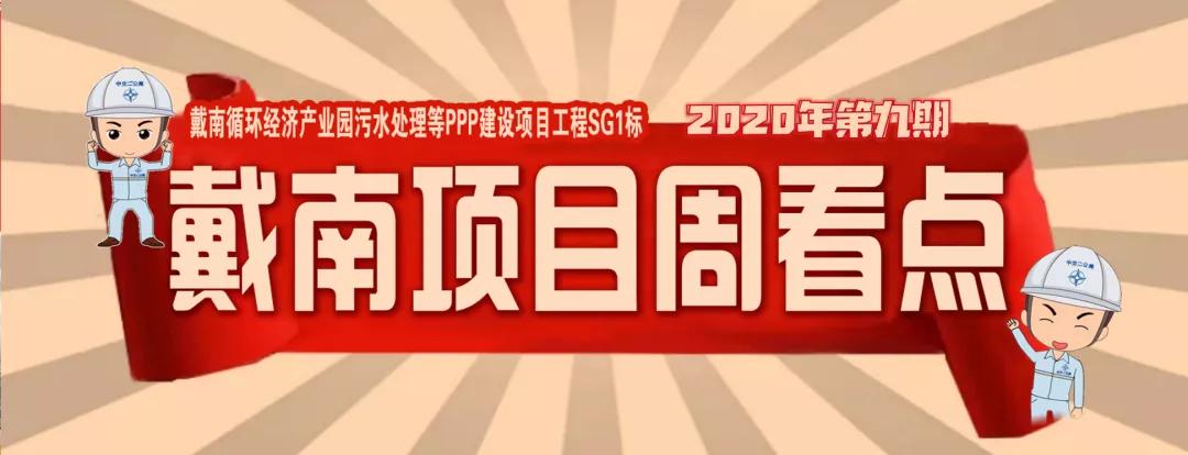 戴南镇2022年有哪些重大项目开工,戴南迎宾大道改造