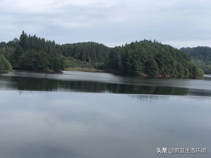 深圳最好的公园东湖公园,深圳东湖公园有哪些风景区