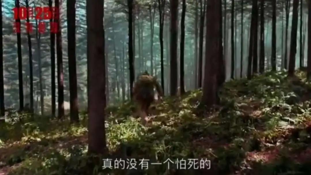 《金刚川》：他们不怕死，怕的是战友死了，自己倒下了