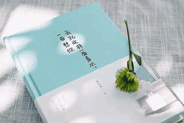 优秀作文摘抄我的心儿怦怦跳,优秀作文开头我的心怦怦跳