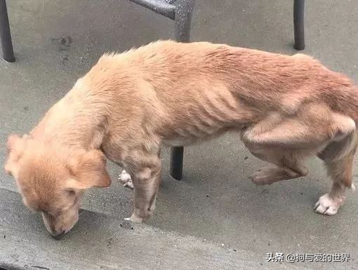 鏅氫笂瀹堕噷杩涗簡涓嶆槑鐢熺墿,鐢峰瓙鍗婂鍥炲閬囦笂涓嶆槑鐢熺墿